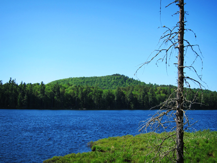 Adirondack Habitats:  Barnum Pond from the Boreal Life Trail overlook at the Paul Smiths VIC (3 June 2011)